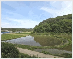  2025Ÿ��11691 ��� ���ֱ� �μ��� ��ȣ�� 209      ����(��)���