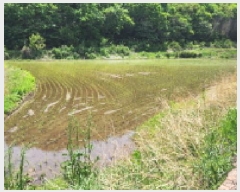  2025Ÿ��11691 ��� ���ֱ� �μ��� ��ȣ�� 209      ����(��)���