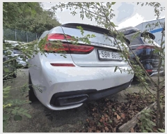  2025Ÿ��12665  �������