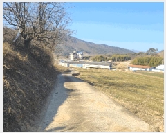  2025Ÿ��725  �����