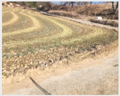  2025Ÿ��725  �����