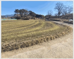  2025Ÿ��725  �����