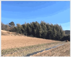  2025Ÿ��891 ��� ���ֱ� û���� ������ 250-1      ����(��1)���