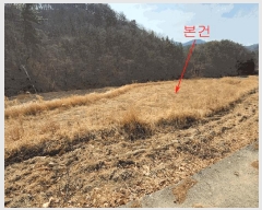  2025Ÿ��935 ��� ���ֱ� �¾��� �ܱ��� 742-2      ����(��)���