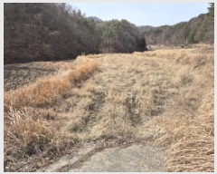  2025Ÿ��935 ��� ���ֱ� �¾��� �ܱ��� 742-2      ����(��)���