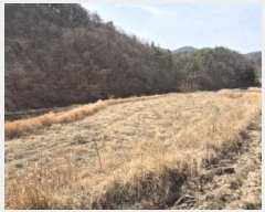  2025Ÿ��935 ��� ���ֱ� �¾��� �ܱ��� 742-2      ����(��)���