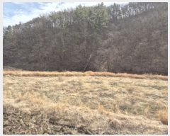  2025Ÿ��935 ��� ���ֱ� �¾��� �ܱ��� 742-2      ����(��)���