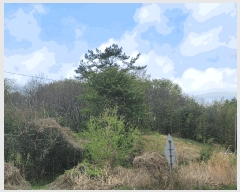  2025Ÿ��1040  �Ӿ߰��