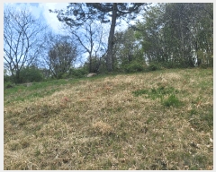  2025Ÿ��1040  �Ӿ߰��