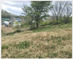  2025Ÿ��1040  �Ӿ߰��