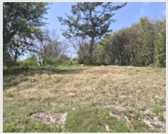  2025Ÿ��1040  �Ӿ߰��