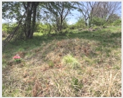  2025Ÿ��1040  �Ӿ߰��