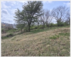  2025Ÿ��1040  �Ӿ߰��