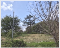  2025Ÿ��1040  �Ӿ߰��