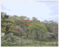  2025Ÿ��11572 ��� ���ֱ� ���̸� ��õ�� ��22-7      ����(�Ӿ�)���