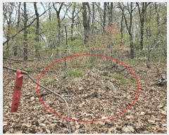  2025Ÿ��11572 ��� ���ֱ� ���̸� ��õ�� ��22-7      ����(�Ӿ�)���