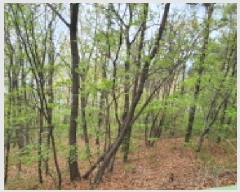  2025Ÿ��11572 ��� ���ֱ� ���̸� ��õ�� ��22-7      ����(�Ӿ�)���