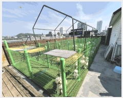  2025Ÿ��11595 ��� ���� ��굿 180-20       �ܵ�����,�����ð��