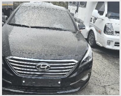  2025Ÿ��12862 ��� ���ֱ� ����� ���� 605, ���������� ��    �������