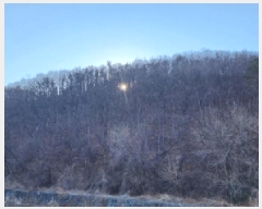  2025Ÿ732  ֱ ε 踮 156-9      (Ӿ)