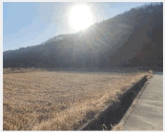  2025Ÿ732  ֱ ε 踮 156-9      (Ӿ)