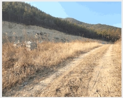  2025Ÿ855  ֱ μ Ȱõ 412-4      ()