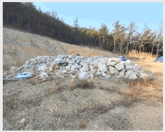  2025Ÿ855  ֱ μ Ȱõ 412-4      ()