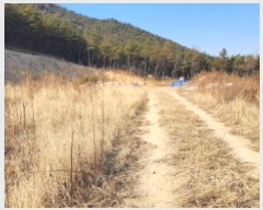  2025Ÿ855  ֱ μ Ȱõ 412-4      ()