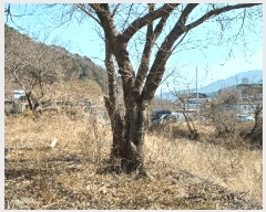  2025Ÿ��881 �泲 ���� ��굿 1050-16       �ٸ��ü�,�󰡰��