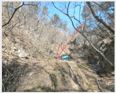  2025Ÿ��919 ��� ���ֱ� ������ ���縮 31      ����(��)���