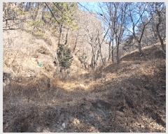  2025Ÿ��919 ��� ���ֱ� ������ ���縮 31      ����(��)���