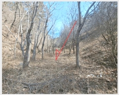  2025Ÿ��919 ��� ���ֱ� ������ ���縮 31      ����(��)���