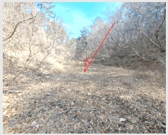  2025Ÿ��919 ��� ���ֱ� ������ ���縮 31      ����(��)���