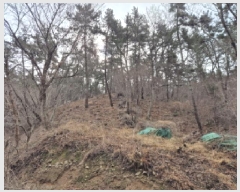  2025Ÿ��919 ��� ���ֱ� ������ ���縮 31      ����(��)���