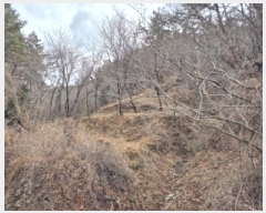  2025Ÿ��919 ��� ���ֱ� ������ ���縮 31      ����(��)���