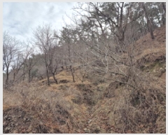  2025Ÿ��919 ��� ���ֱ� ������ ���縮 31      ����(��)���