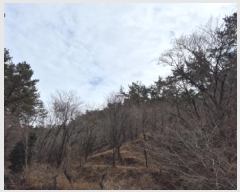  2025Ÿ��919 ��� ���ֱ� ������ ���縮 31      ����(��)���