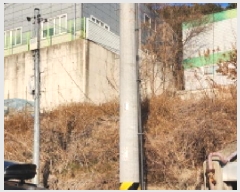  2025Ÿ��936  �������