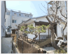  2025Ÿ��990 ��� ���ֱ� �ﳲ�� ������ 1583-7      ���ð��