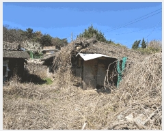  2025Ÿ��1028  ���ð��