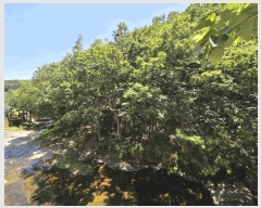  2025Ÿ��1172 �泲 ���� ��ϸ� �ܼ��� ��32-36      ����(�Ӿ�)���