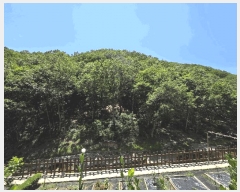  2025Ÿ��1172 �泲 ���� ��ϸ� �ܼ��� ��32-36      ����(�Ӿ�)���