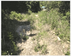  2025Ÿ��1172 �泲 ���� ��ϸ� �ܼ��� ��32-36      ����(�Ӿ�)���