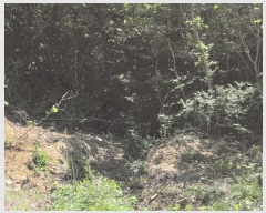  2025Ÿ��1172 �泲 ���� ��ϸ� �ܼ��� ��32-36      ����(�Ӿ�)���