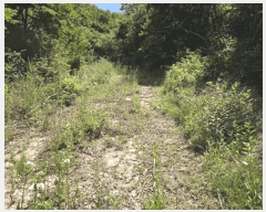  2025Ÿ��1172 �泲 ���� ��ϸ� �ܼ��� ��32-36      ����(�Ӿ�)���