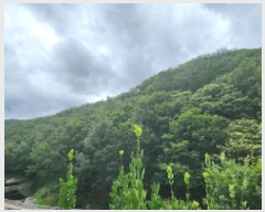  2025Ÿ��1172 �泲 ���� ��ϸ� �ܼ��� ��32-36      ����(�Ӿ�)���