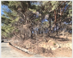  2025Ÿ10401  ֱ ϸ Ÿ 214-2      (Ӿ)