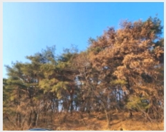  2025Ÿ10401  ֱ ϸ Ÿ 214-2      (Ӿ)