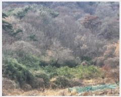  2025Ÿ10845 泲  ȣ赿 54       (1)