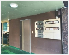  2025Ÿ10999 泲  ȣ 535-9       ܵ,ð